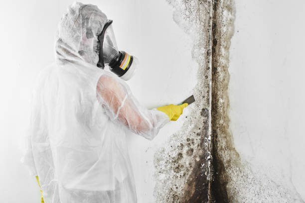 Crawl Space Mold Removal in Fordoche, LA