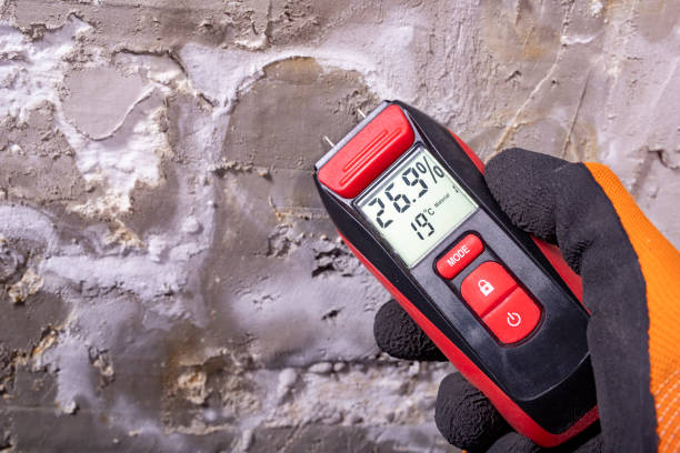 Mold Removal and Inspection in Fordoche, LA