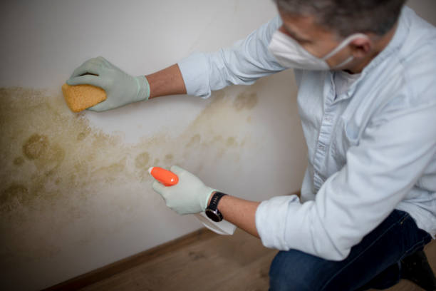 Water Damage Restoration in Fordoche, LA