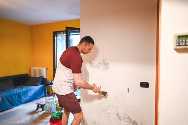 Best Fast Mold Removal  in Fordoche, LA