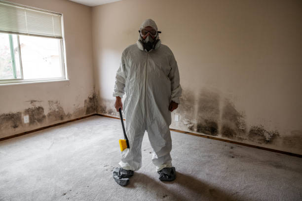 Best Residential Mold Removal  in Fordoche, LA